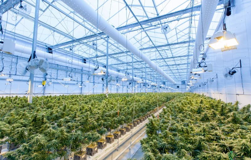 Greenhouse Operations