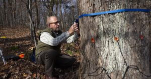 How Do You Measure a Tree Breathing? One Sensor's Answer