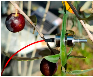 The Hidden Variable That Can Throw Off Any Field Sensor: Temperature